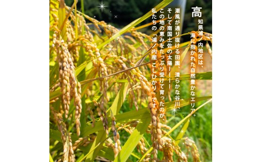 2025年 コシヒカリ 3Kg 産地直送 高知県産 白米 精米 こしひかり 米 常温 配送 ブランド米 国産 米 早場米 人気 天然 恵み 心 高知県 須崎市 SI001