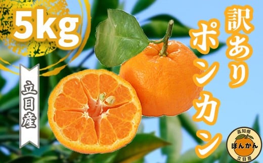 【 早期予約受付開始 】 1月中旬より順次発送 立目産 ポンカン 訳あり 5kg 2026年 収穫分 家庭用 みかん 高知 須崎 TMS001