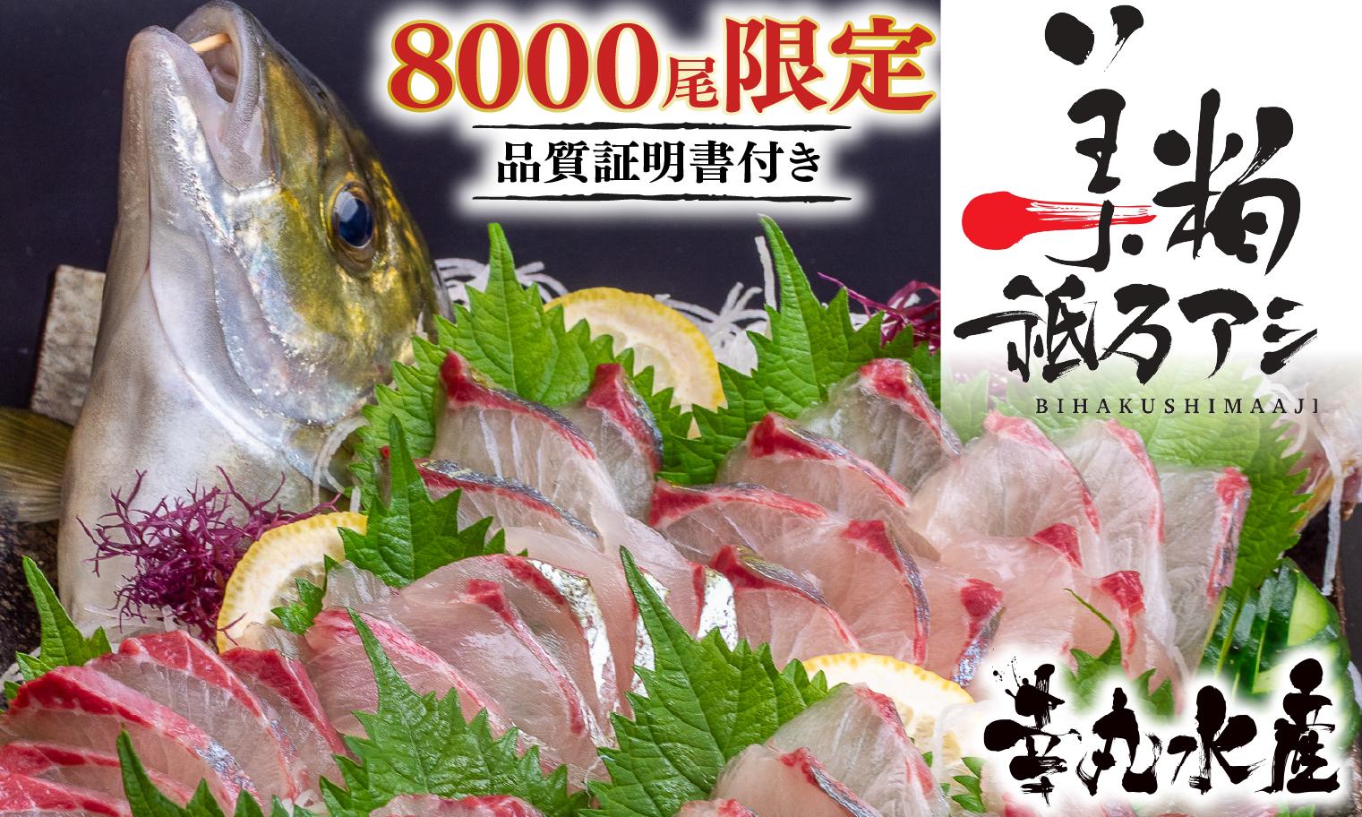 美粕祇万アジ 500g フィーレ 4パック フィーレ カマ アラ付 高級魚 刺身 刺身用 縞鯵 シマアジ 鯵 海鮮 鮮魚 新鮮 魚介 冷凍 魚 さかな 小分け 高知県 須崎市 SCM002