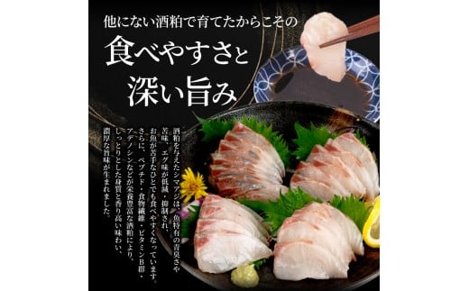 çŸç²ç¥äžã¢ãž 500g ãã£ãŒã¬ 4ãã㯠ãã£ãŒã¬ ã«ã ã¢ã©ä» é«çŽé åºèº« åºèº«çš çžé¯µ ã·ãã¢ãž 鯵 æµ·é®® é®®é æ°é®® éä» å·å é ãã㪠å°åã é«ç¥ç é åŽåž SCM002