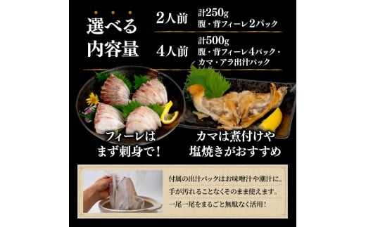 çŸç²ç¥äžã¢ãž 500g ãã£ãŒã¬ 4ãã㯠ãã£ãŒã¬ ã«ã ã¢ã©ä» é«çŽé åºèº« åºèº«çš çžé¯µ ã·ãã¢ãž 鯵 æµ·é®® é®®é æ°é®® éä» å·å é ãã㪠å°åã é«ç¥ç é åŽåž SCM002