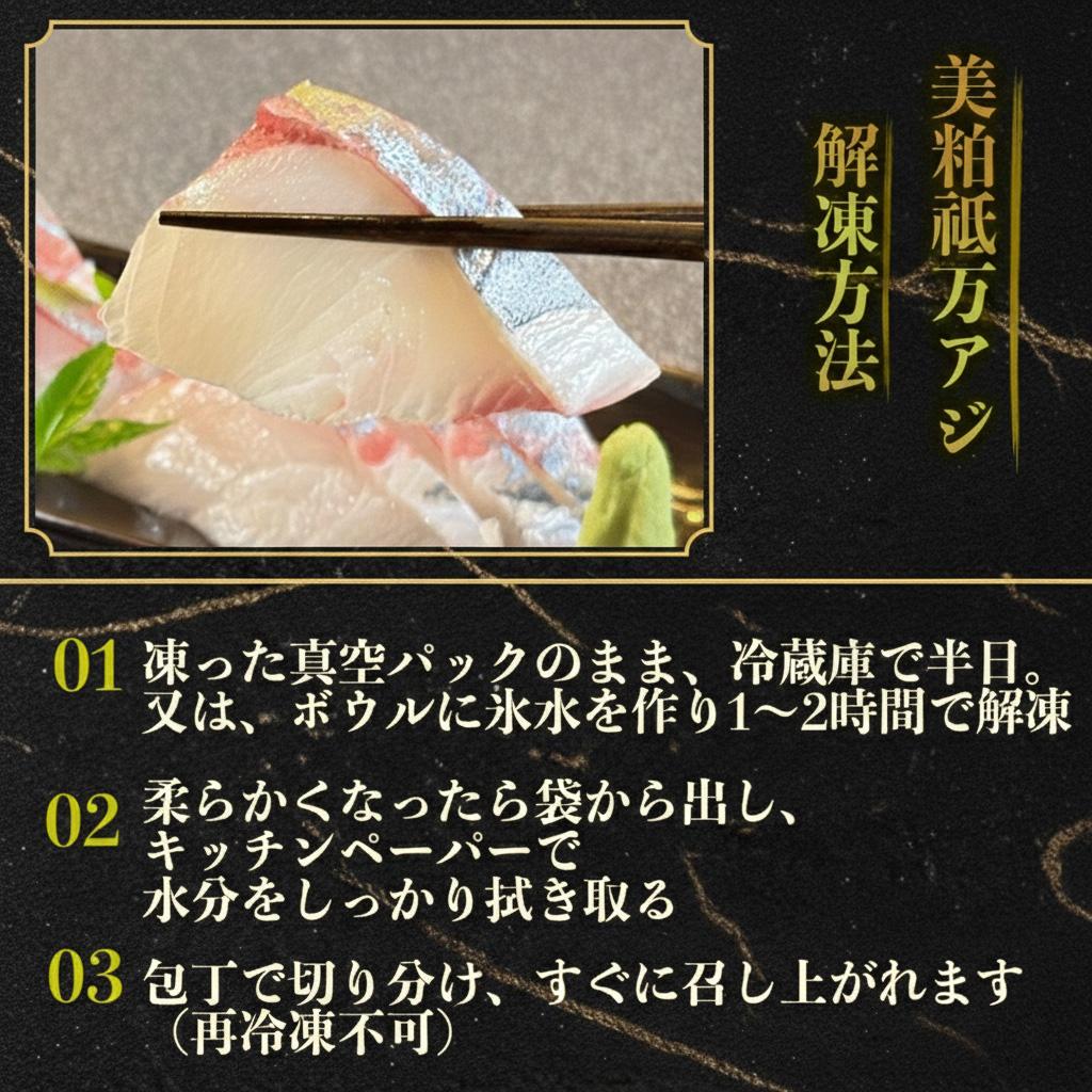 çŸç²ç¥äžã¢ãž 500g ãã£ãŒã¬ 4ãã㯠ãã£ãŒã¬ ã«ã ã¢ã©ä» é«çŽé åºèº« åºèº«çš çžé¯µ ã·ãã¢ãž 鯵 æµ·é®® é®®é æ°é®® éä» å·å é ãã㪠å°åã é«ç¥ç é åŽåž SCM002