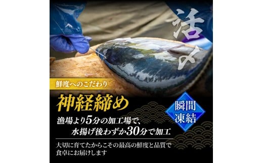 鄒守イ慕・荳繧「繧ク 250g 繝輔ぅ繝シ繝ャ 2繝代ャ繧ッ 鬮倡エ夐ュ 蛻コ霄ォ 蛻コ霄ォ逕ィ 邵樣ッオ 繧キ繝槭い繧ク 魃オ 豬キ魄ョ 魄ョ鬲 譁ー魄ョ 鬲壻サ 蜀キ蜃 鬲 縺輔°縺ェ 蟆丞縺 鬮倡衍逵 鬆亥エ主ク SCM001