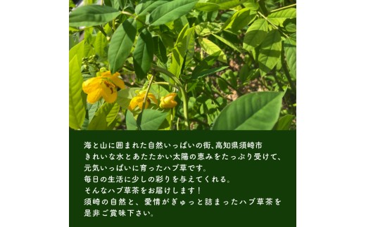 ハブ草茶 6パック セット 手積み 無農薬 オーガニック 天然 健康 ハブ茶 ノンカフェイン ティーバッグ 小分け ボタニカル 茶 お茶 日本茶 ティー 天日干し カフェインレス 高知県 須崎市 ねっことそら NC021