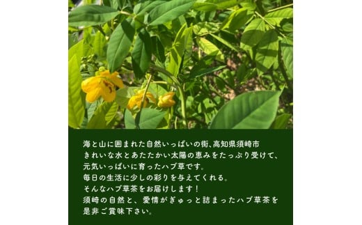 ハブ草茶 お試し 3パック セット 手積み 無農薬 オーガニック 天然 健康 ハブ茶 ノンカフェイン ティーバッグ 小分け ボタニカル 茶 お茶 日本茶 ティー 天日干し カフェインレス 高知県 須崎市 ねっことそら NC020