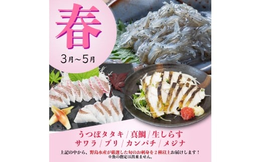 選べる回数 刺身 定期便 小容量 1年 産地直送 刺身 カット済み 一人暮らし 少量 高知 厳選 お任せ 春夏秋冬 お楽しみ 冷凍 野島水産 かんたん解凍 お手軽 かつおタタキ 真鯛 ブリ マグロ 生しらす ( ドロメ ) カンパチ シマアジ イサキ サワラ メジナ うつぼ タタキ サワラ炙り 鯛 勘八 鮪 鰤 鰹 お刺身 刺し身 さしみ おつまみ おかず 海鮮 高知県 須崎市 NS20000