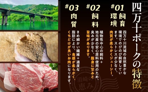 ハンバーグ 四万十ポーク 入り 3.6kg ( 200g × 18個 ) 冷凍 真空 小分け 個包装 肉汁 たっぷり 大容量 大きめ 合挽き 牛肉 豚肉 保存料 不使用 ビーフ ポーク 合いびき肉 挽肉 ジューシー お弁当 おかず 惣菜 晩ごはん 贅沢 ギフト 贈り物 贈答 