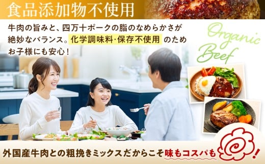 ハンバーグ 四万十ポーク 入り 2.4kg ( 200g × 12個 ) 冷凍 真空 小分け 個包装 肉汁 たっぷり 大容量 大きめ 合挽き 牛肉 豚肉 保存料 不使用 ビーフ ポーク 合いびき肉 挽肉 ジューシー お弁当 おかず 惣菜 晩ごはん 贅沢 ギフト 贈り物 贈答 SNM001-1