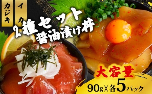2種 醤油 漬け丼 90g×各5パック カジキマグロ イカ 鮪 まぐろ 烏賊 切り身 特製 漬け丼 丼 海鮮丼 刺し身 刺身 切身 手軽 便利 ご飯のお供 簡単調理 海鮮 魚介 惣菜 冷凍 小分け 大容量 ふるさと納税 人気 ふるさと納税漬け丼 ふるさと納税海鮮丼 TY080