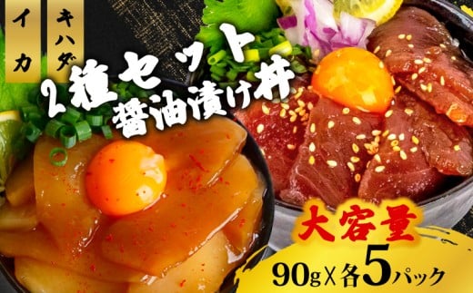 2種 醤油 漬け丼 90g×各5パック キハダマグロ イカ まぐろ 鮪 烏賊 切り身 特製 漬け丼 丼 海鮮丼 刺し身 刺身 切身 手軽 便利 ご飯のお供 簡単調理 海鮮 魚介 惣菜 冷凍 小分け 大容量 ふるさと納税 人気 ふるさと納税漬け丼 ふるさと納税海鮮丼 TY074