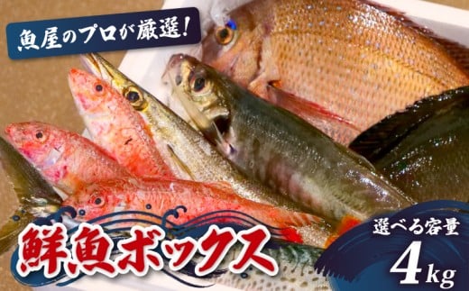 鮮魚BOX 4kg 刺身 刺し身 旬 海鮮 鮮魚 魚介 焼き 煮付け 炙り カルパッチョ 寿司 丼 おつまみ おかず ご飯に合う 米に合う コメに合う 家庭用 父の日 高級 冷蔵 高知県 須崎市 土佐 須崎魚商人組合 GK008