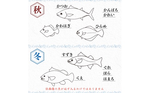 鮮魚BOX 4kg 刺身 刺し身 旬 海鮮 鮮魚 魚介 焼き 煮付け 炙り カルパッチョ 寿司 丼 おつまみ おかず ご飯に合う 米に合う コメに合う 家庭用 父の日 高級 冷蔵 高知県 須崎市 土佐 須崎魚商人組合 GK008