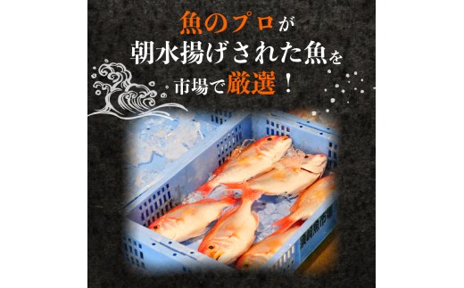鮮魚BOX 2kg 刺身 刺し身 旬 海鮮 鮮魚 魚介 焼き 煮付け 炙り カルパッチョ 寿司 丼 おつまみ おかず ご飯に合う 米に合う コメに合う 家庭用 父の日 高級 冷蔵 高知県 須崎市 土佐 須崎魚商人組合 GK007