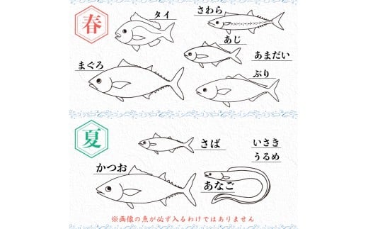 鮮魚BOX 2kg 刺身 刺し身 旬 海鮮 鮮魚 魚介 焼き 煮付け 炙り カルパッチョ 寿司 丼 おつまみ おかず ご飯に合う 米に合う コメに合う 家庭用 父の日 高級 冷蔵 高知県 須崎市 土佐 須崎魚商人組合 GK007