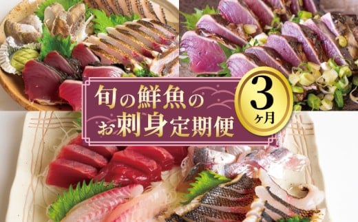 お刺身 定期便 3回 カツオ 鰹 フィーレ 炙り 刺身 刺し身 丼 寿司 海鮮 魚介 鮮魚 旬 ご飯に合う 米に合う コメに合う 冷蔵 高知県 須崎市 須崎魚商人組合 GK2000