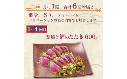 お刺身 定期便 6回 カツオ 鰹 フィーレ 炙り 刺身 刺し身 丼 寿司 海鮮 魚介 鮮魚 旬 ご飯に合う 米に合う コメに合う 冷蔵 高知県 須崎市 須崎魚商人組合 GK1000