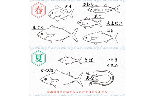お刺身 定期便 6回 カツオ 鰹 フィーレ 炙り 刺身 刺し身 丼 寿司 海鮮 魚介 鮮魚 旬 ご飯に合う 米に合う コメに合う 冷蔵 高知県 須崎市 須崎魚商人組合 GK1000