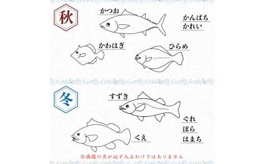 お刺身 定期便 6回 カツオ 鰹 フィーレ 炙り 刺身 刺し身 丼 寿司 海鮮 魚介 鮮魚 旬 ご飯に合う 米に合う コメに合う 冷蔵 高知県 須崎市 須崎魚商人組合 GK1000