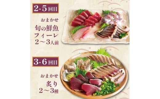 お刺身 定期便 6回 カツオ 鰹 フィーレ 炙り 刺身 刺し身 丼 寿司 海鮮 魚介 鮮魚 旬 ご飯に合う 米に合う コメに合う 冷蔵 高知県 須崎市 須崎魚商人組合 GK1000