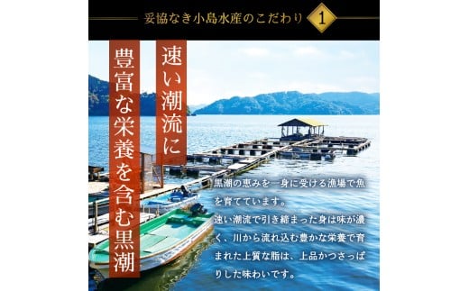 蛻コ霄ォ 螳壽悄萓ソ 3繝カ譛 蟆丞ョケ驥 繧ウ繝シ繧ケ 蟆丞ウカ豌エ逕」 逕」蝨ー逶エ騾 縺九▽縺 繝悶Μ 逵滄ッ 3蝗 譁ー魄ョ 荵吝・ウ魃 荵吝・ウ繝悶Μ 阯∫┥縺 縺九▽縺翫ち繧ソ繧ュ 魃 繧ソ繧、 魏、 縺カ繧 魏ケ繧ソ繧ソ繧ュ 魏ケ 繧ォ繝繧ェ 縺九▽縺翫ョ縺溘◆縺 豬キ魄ョ 縺雁絢霄ォ 荳莠コ證ョ繧峨@ 蟆鷹 鬮倡衍逵 鬆亥エ主ク KS31000