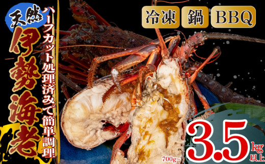ハーフカット伊勢海老  6ピース2.1kg以上 冷凍 ( 特大サイズ 急速冷凍 えび エビ 高級 鮮魚 海鮮 魚介 刺身 焼き物 汁物 ギフト 贈答 贈り物 祝い 歳暮 中元 年末 年始 早期 予約 ) IKY082_x
