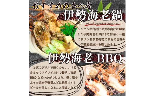 ハーフカット伊勢海老  2ピース700g以上 冷凍 ( 特大サイズ 急速冷凍 えび エビ 高級 鮮魚 海鮮 魚介 刺身 焼き物 汁物 ギフト 贈答 贈り物 祝い 歳暮 中元 年末 年始 早期 予約 ) IKY080_x