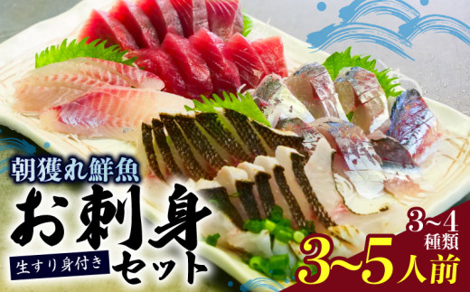 朝どれ地魚 ３～４種類 3～5人前 お刺身 セット 生すり身付き YS002_x
