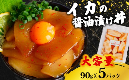 イカ 醤油 漬け丼 5パック セット  烏賊 90g × 5パック 高知県 須崎市 TY059