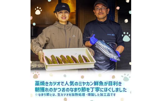 犬猫用 無添加 ペットフード かつお ドッグフード キャットフード 10パック 国産 いぬ ねこ 魚 MYK010