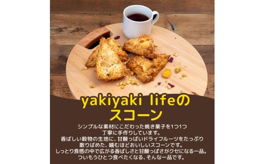 ãã©ã€ãã«ãŒããšç©ç©ã®ã¹ã³ãŒã³ 15å ã¹ã€ãŒã ãè€çŸ ãã¶ãŒã ãã©ã€ãã«ãŒã ã¹ã³ãŒã³ ãèå æŽèå çŒãèå é«ç¥ç é åŽåž LF027