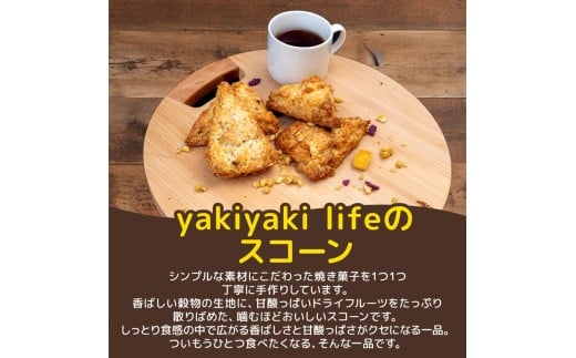 ãã©ã€ãã«ãŒããšç©ç©ã®ã¹ã³ãŒã³ 11å ã¹ã€ãŒã ãè€çŸ ãã¶ãŒã ãã©ã€ãã«ãŒã ã¹ã³ãŒã³ ãèå æŽèå çŒãèå é«ç¥ç é åŽåž LF026