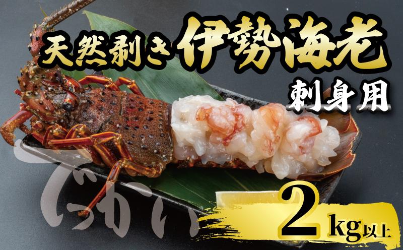 でっかい天然伊勢海老  刺身用 2kg以上 冷凍 ( 特大サイズ 急速冷凍 えび エビ 高級 鮮魚 海鮮 魚介 刺身 焼き物 汁物 ギフト 贈答 贈り物 祝い 歳暮 中元 年末 年始 早期 予約 ) IKY101