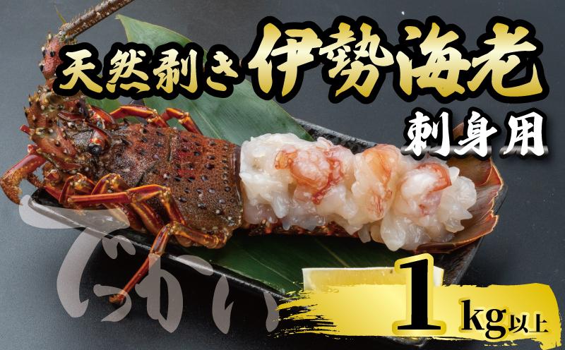 でっかい天然伊勢海老  刺身用 1kg以上 冷凍 ( 特大サイズ 急速冷凍 えび エビ 高級 鮮魚 海鮮 魚介 刺身 焼き物 汁物 ギフト 贈答 贈り物 祝い 歳暮 中元 年末 年始 早期 予約 ) IKY100