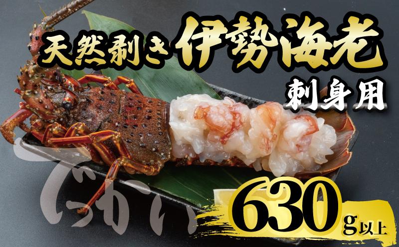 でっかい天然伊勢海老  刺身用 630g以上 冷凍 ( 特大サイズ 急速冷凍 えび エビ 高級 鮮魚 海鮮 魚介 刺身 焼き物 汁物 ギフト 贈答 贈り物 祝い 歳暮 中元 年末 年始 早期 予約 ) IKY099