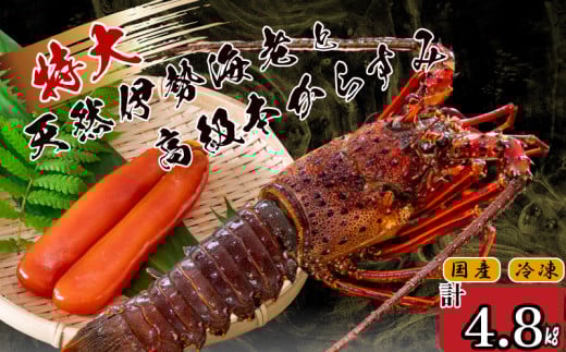 特大伊勢海老 7匹 高級 本からすみ 600g  ( 特大サイズ 急速冷凍 えび エビ からすみ カラスミ 珍味 高級 鮮魚 海鮮 魚介 魚卵 刺身 焼き物 汁物 セット ギフト 贈答 贈り物 祝い 歳暮 中元 ) IKY066