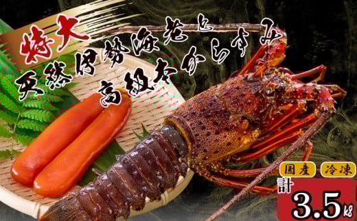 特大伊勢海老 5匹 高級 本からすみ 500g  ( 特大サイズ 急速冷凍 えび エビ からすみ カラスミ 珍味 高級 鮮魚 海鮮 魚介 魚卵 刺身 焼き物 汁物 セット ギフト 贈答 贈り物 祝い 歳暮 中元 ) IKY065