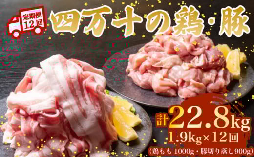 【12ヶ月連続】四万十ブランド 鶏肉1kg 豚肉900g（計1.9kg×12回) 22.8kg 12回定期便 6Gコース｜ 四万十ポークスライス 四万十ポーク 豚バラ肉 小分け 小間切れ スライス 切り落とし 冷凍 真空パック 細切れ 切身 カット 一口大 カット済み  四万十鶏 鳥肉 とりにく 鶏もも 国産 ブランド 唐揚げ 煮物 鍋 チキン 高知県 須崎市 TM139000