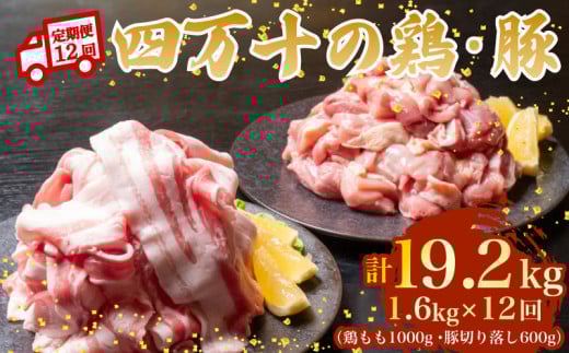 【12ヶ月連続】四万十ブランド 鶏肉1kg 豚肉600g（計1.6kg×12回) 19.2kg 12回定期便 6Dコース｜ 四万十ポークスライス 四万十ポーク 豚バラ肉 小分け 小間切れ スライス 切り落とし 冷凍 真空パック 細切れ 切身 カット 一口大 カット済み  四万十鶏 鳥肉 とりにく 鶏もも 国産 ブランド 唐揚げ 煮物 鍋 チキン 高知県 須崎市 TM136000