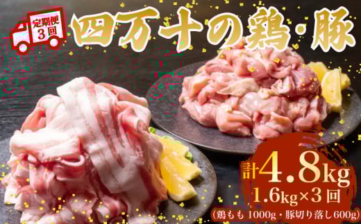【3ヶ月連続】四万十ブランド 鶏肉1kg 豚肉600g（計1.6kg×3回) 4.8kg 3回定期便 6Bコース｜ 四万十ポークスライス 四万十ポーク 豚バラ肉 小分け 小間切れ スライス 切り落とし 冷凍 真空パック 細切れ 切身 カット 一口大 カット済み  四万十鶏 鳥肉 とりにく 鶏もも 国産 ブランド 唐揚げ 煮物 鍋 チキン 高知県 須崎市 TM134000
