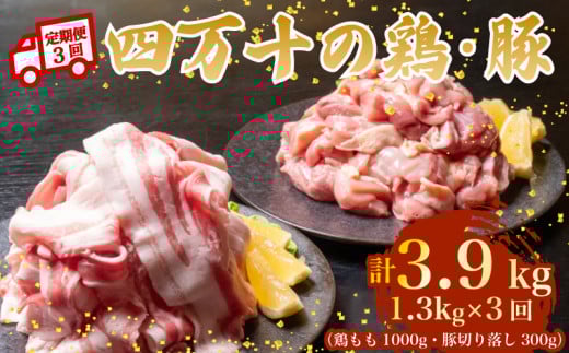 【3ヶ月連続】四万十ブランド 鶏肉1kg 豚肉300g（計1.3kg×3回)3.9kg 3回定期便 5Yコース｜ 四万十ポークスライス 四万十ポーク 豚バラ肉 小分け 小間切れ スライス 切り落とし 冷凍 真空パック 細切れ 切身 カット 一口大 カット済み  四万十鶏 鳥肉 とりにく 鶏もも 国産 ブランド 唐揚げ 煮物 鍋 チキン 高知県 須崎市 TM131000