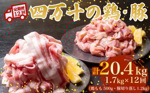 【12ヶ月連続】四万十ブランド 鶏肉500g 豚肉1.2kg（計1.7kg×12回)20.4kg 12回定期便 5Xコース｜ 四万十ポークスライス 四万十ポーク 豚バラ肉 小分け 小間切れ スライス 切り落とし 冷凍 真空パック 細切れ 切身 カット 一口大 カット済み  四万十鶏 鳥肉 とりにく 鶏もも 国産 ブランド 唐揚げ 煮物 鍋 チキン 高知県 須崎市 TM130000