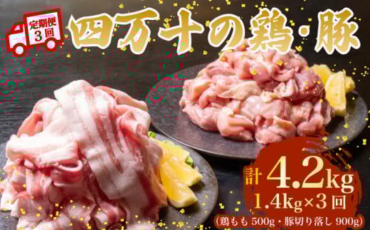 【3ヶ月連続】四万十ブランド 鶏肉500g 豚肉900g（計1.4kg×3回）4.2kg 3回定期便 5Sコース｜ 四万十ポークスライス 四万十ポーク 豚バラ肉 小分け 小間切れ スライス 切り落とし 冷凍 真空パック 細切れ 切身 カット 一口大 カット済み  四万十鶏 鳥肉 とりにく 鶏もも 国産 ブランド 唐揚げ 煮物 鍋 チキン 高知県 須崎市 TM125000