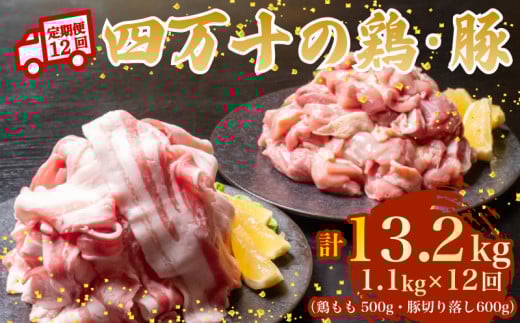 【12ヶ月連続】四万十ブランド 鶏肉500g 豚肉600g（計1.1kg×12回）13.2kg 12回定期便 5Rコース｜ 四万十ポークスライス 四万十ポーク 豚バラ肉 小分け 小間切れ スライス 切り落とし 冷凍 真空パック 細切れ 切身 カット 一口大 カット済み  四万十鶏 鳥肉 とりにく 鶏もも 国産 ブランド 唐揚げ 煮物 鍋 チキン 高知県 須崎市 TM124000