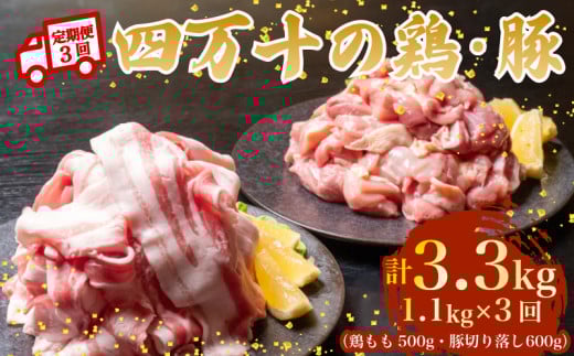 【3ヶ月連続】四万十ブランド 鶏肉500g 豚肉600g（計1.1kg×3回）3.3kg 3回定期便 5Pコース｜ 四万十ポークスライス 四万十ポーク 豚バラ肉 小分け 小間切れ スライス 切り落とし 冷凍 真空パック 細切れ 切身 カット 一口大 カット済み  四万十鶏 鳥肉 とりにく 鶏もも 国産 ブランド 唐揚げ 煮物 鍋 チキン 高知県 須崎市 TM122000