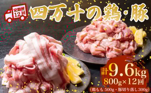 【12ヶ月連続】四万十ブランド 鶏肉500g 豚肉300g（計800g×12回）9.6kg 12回定期便 5Oコース｜ 四万十ポークスライス 四万十ポーク 豚バラ肉 小分け 小間切れ スライス 切り落とし 冷凍 真空パック 細切れ 切身 カット 一口大 カット済み  四万十鶏 鳥肉 とりにく 鶏もも 国産 ブランド 唐揚げ 煮物 鍋 チキン 高知県 須崎市 TM121000