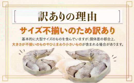 むきエビ 高級 ブラックタイガー 1.2kg 保水剤 無添加 背ワタなし 冷凍 下処理済 訳あり サイズ不揃い エビ 海老 人気 殻 むき 時短 便利 簡単調理 大容量 無保水 えび むきえび ムキエビ