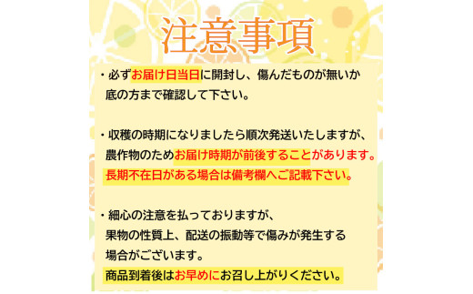 【早期予約 5月中旬～発送】 【 超訳あり 】 小夏 ( 日向夏 ) 5kg 産地直送 ニューサマーオレンジ マル 等級  旬 高知 県 須崎 産  柑橘 初夏 フルーツ 果物 こなつ コナツ ひゅうが夏 みかん オレンジ HK002