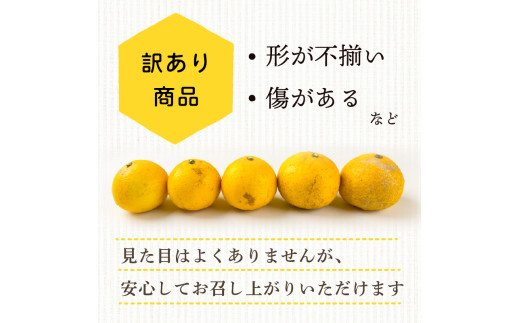 【早期予約 5月中旬～発送】 【 超訳あり 】 小夏 ( 日向夏 ) 5kg 産地直送 ニューサマーオレンジ マル 等級  旬 高知 県 須崎 産  柑橘 初夏 フルーツ 果物 こなつ コナツ ひゅうが夏 みかん オレンジ HK002