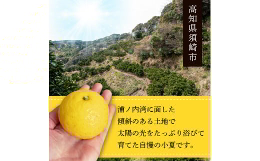 ãæ©æäºçŽ 5æäžæ¬ïœçºéã ã èš³ãã ã å°å€ ( æ¥åå€ ) 5kg ç£å°çŽé ãã¥ãŒãµããŒãªã¬ã³ãž ç¡å° ççŽ æ¬ é«ç¥ ç é åŽ ç£ ææ© åå€ ãã«ãŒã æç© ããªã€ ã³ãã ã²ã
ããå€ ã¿ãã ãªã¬ã³ãž HK001