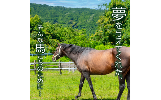 競走馬 支援 1万円 コース 黒潮友馬会応援 10000円 特典 ポストカード 競馬 サラブレッド 引退 高知県 須崎市 選べる 寄付額 引退 余生支援